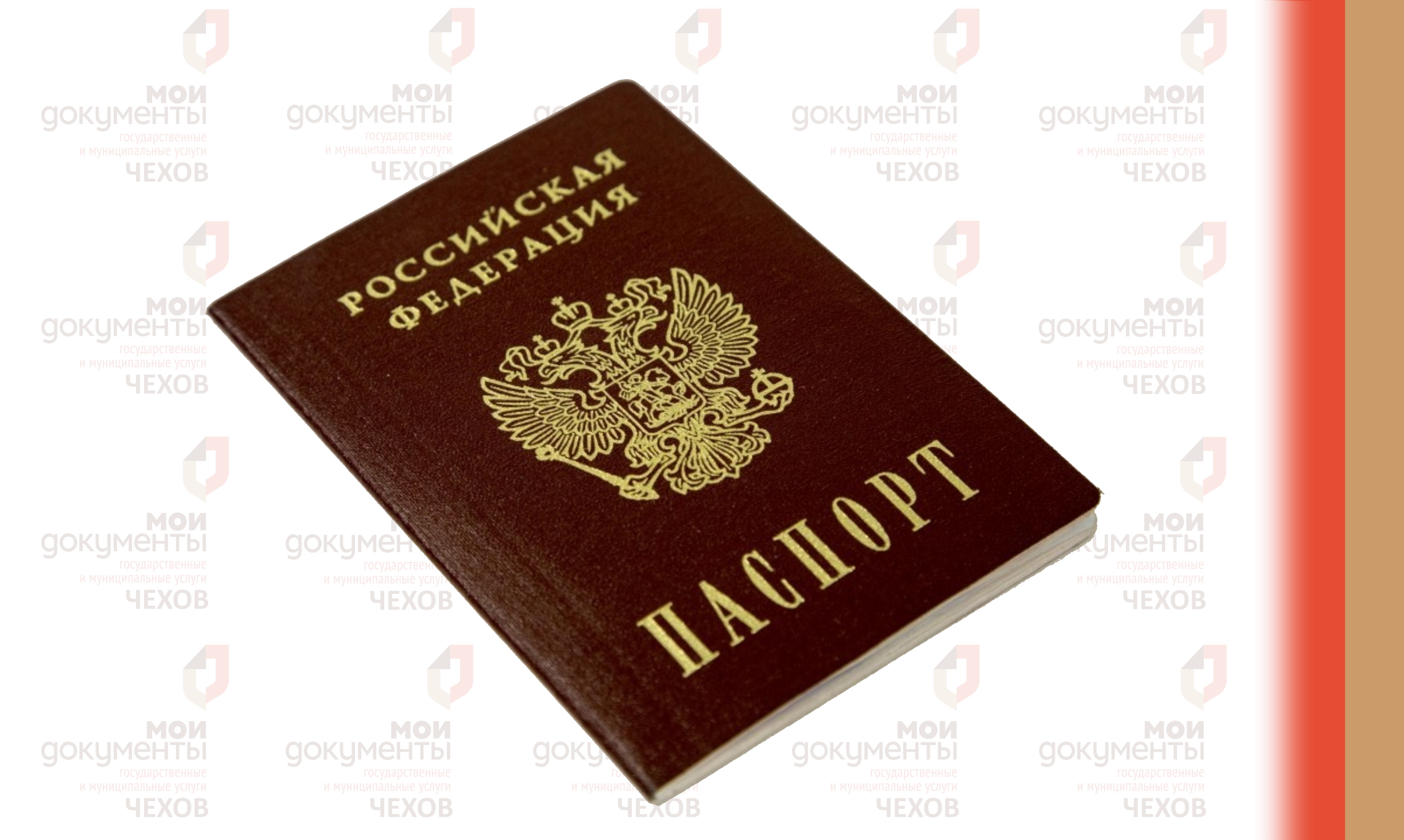 Какие штампы можно ставить в паспорт?